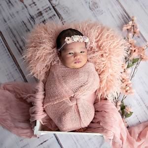 Meet your Posher, Christoferalexviviana